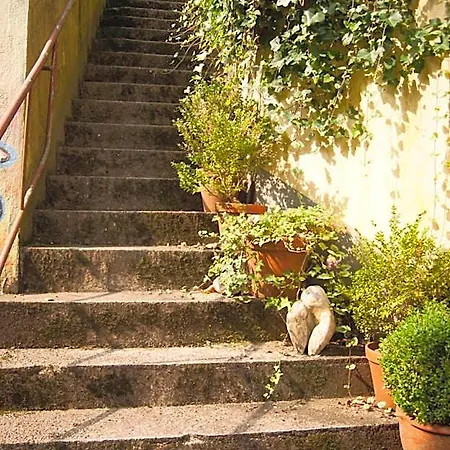 Also-hotel An Der Hardt Wuppertal
