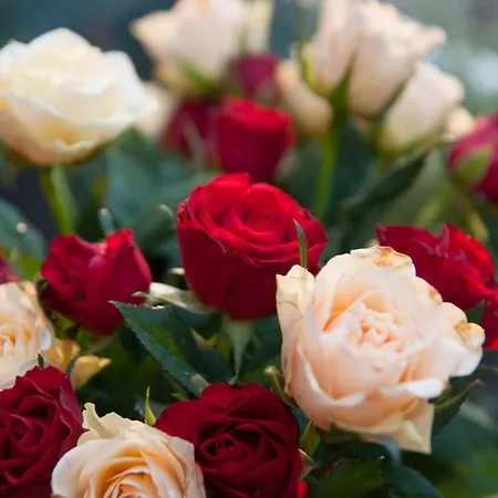 Also-hotel An Der Hardt Hotel Wuppertal