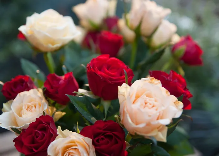 Also-hotel An Der Hardt 호텔