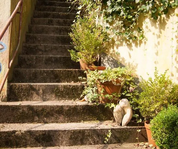 Also-hotel An Der Hardt 2*